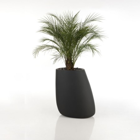 Pot pour plantes