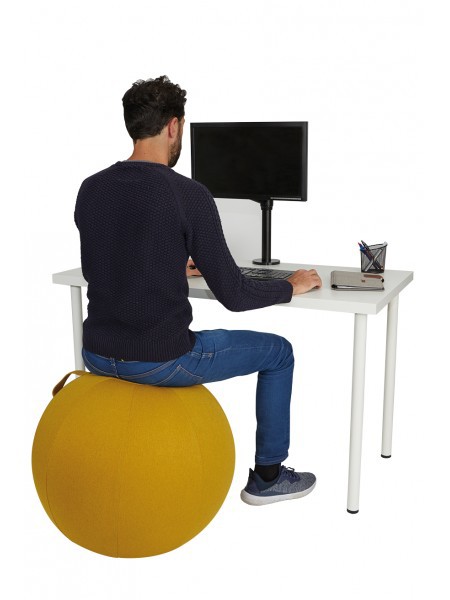 Ballon-ergonomique-bureau-teletravail-home-office.3