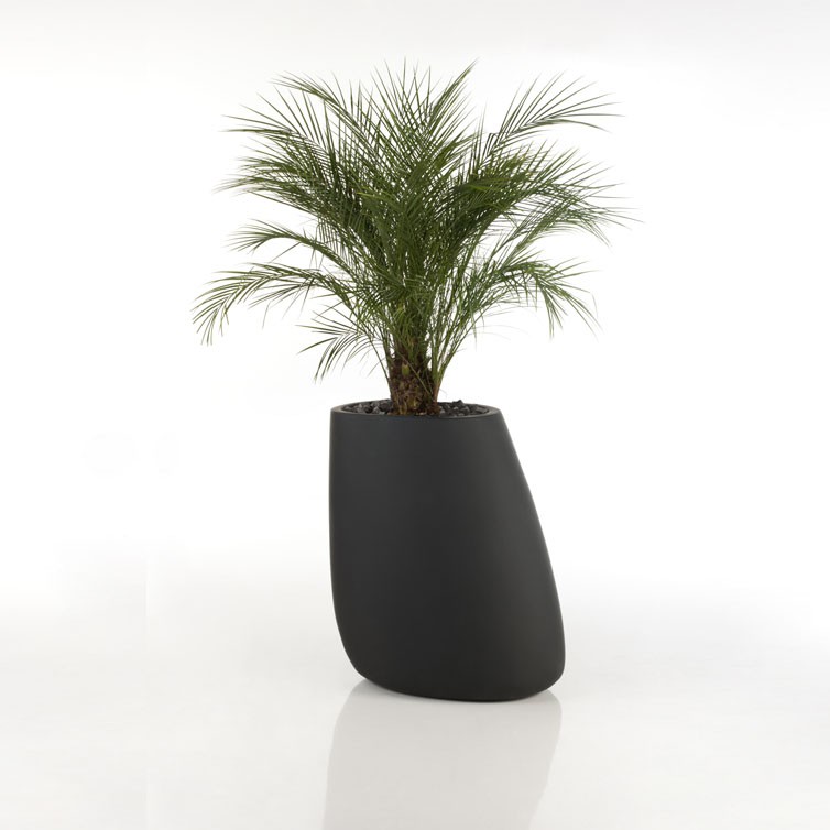 Pot pour plantes